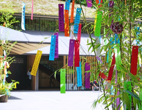 Color pieces of paper known as tanzaku that are displayed during the traditional Japanese holiday Tanabata.