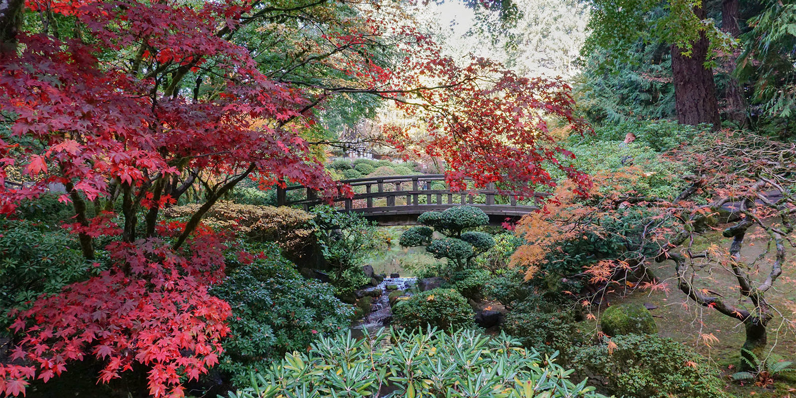 Early November Portland Japanese Garden Photos by Tyler Quinn - 2018-11-02 - DSC01584_low