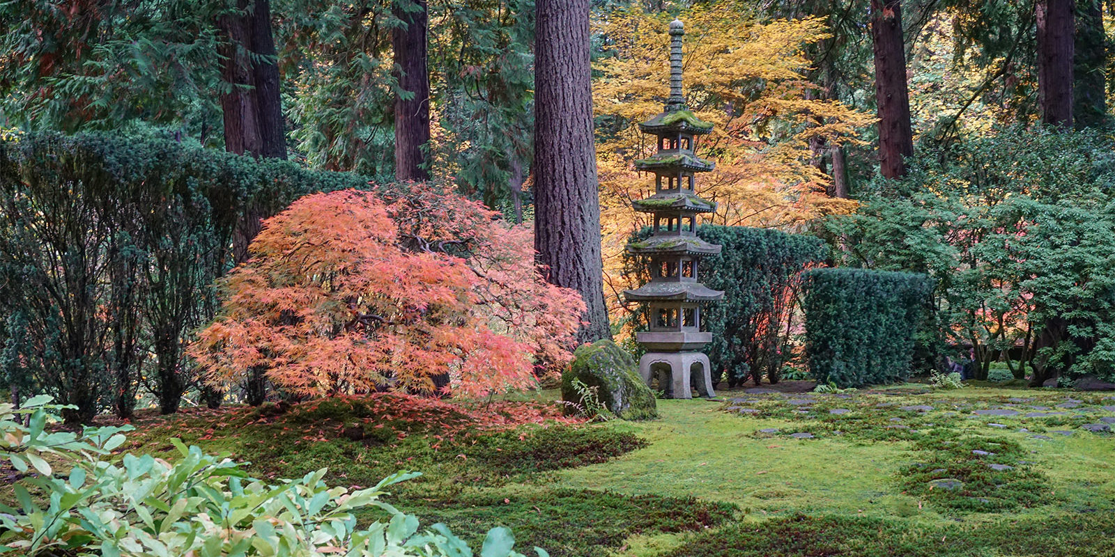 Early November Portland Japanese Garden Photos by Tyler Quinn - 2018-11-02 - DSC01585_low