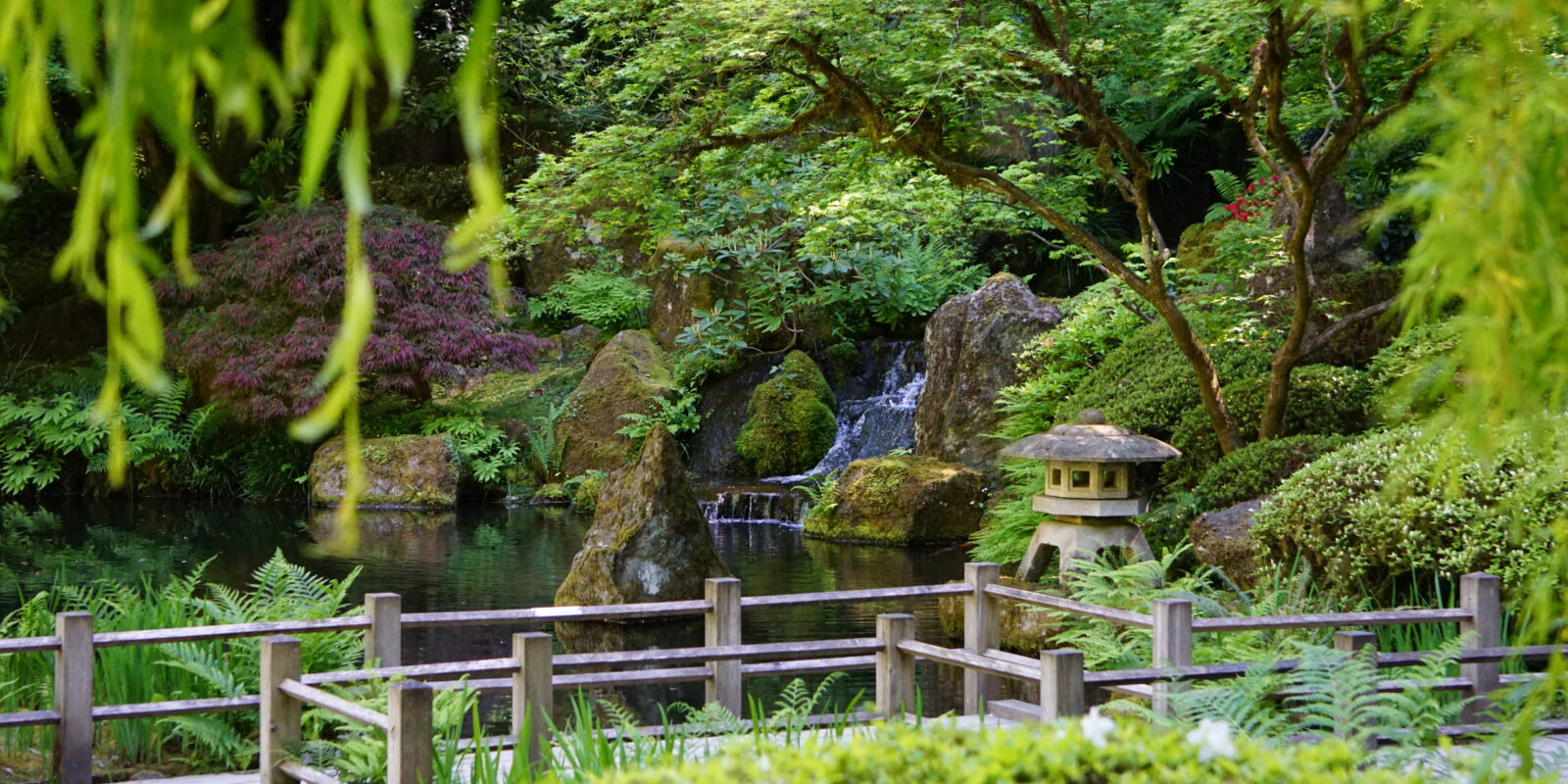Lower Pond at Portland Japanese Garden in Early Summer_by Portland Japanese Garden