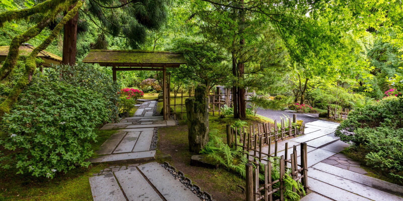 Late Spring Early Summer by Mike Centioli - 2017-05-31 - Portland Japanese Garden, May 2017-35